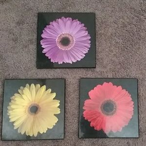 Flower Paintings